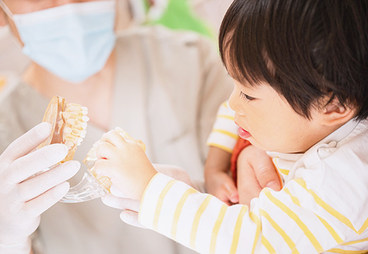 0才から始める虫歯予防